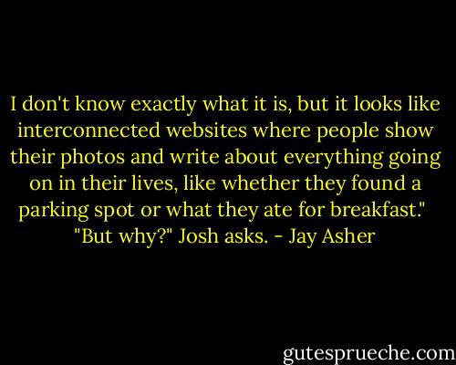 I don't know exactly what it is, but it looks like interconnected websites where people show their photos and write about everything going on in their lives, like whether they found a parking spot or what they ate for breakfast."<br /><br />"But why?" Josh asks. - Jay Asher