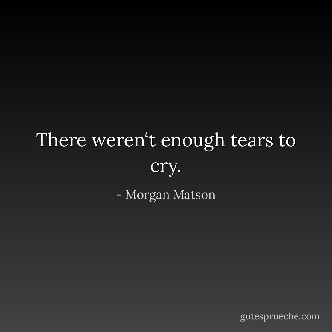 There weren‘t enough tears to cry. - Morgan Matson