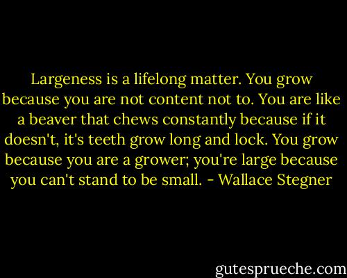 Largeness is a lifelong matter. You grow because you are not content not to. You are like a beaver that chews constantly because if it doesn't, it's teeth grow long and lock. You grow because you are a grower; you're large because you can't stand to be small. - Wallace Stegner