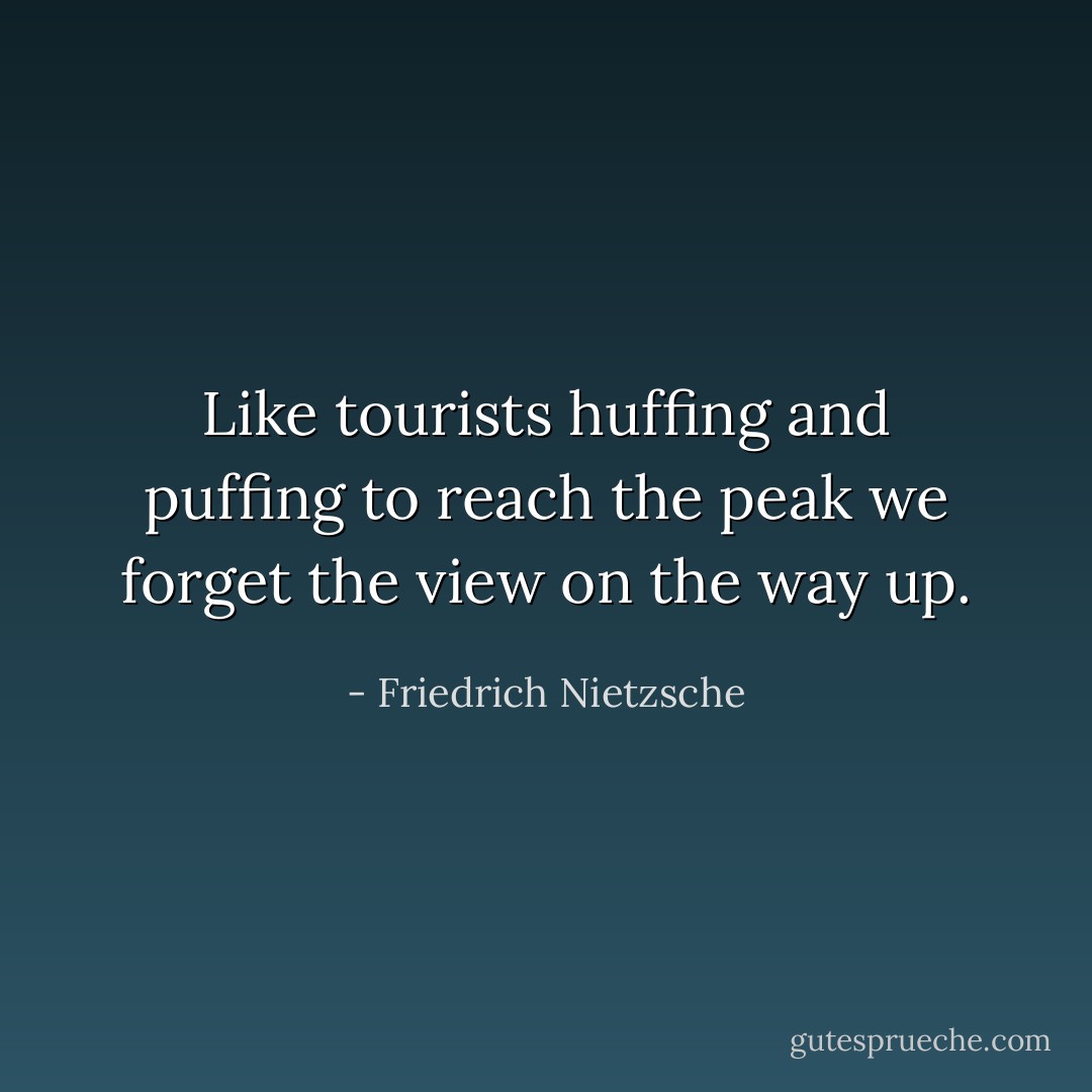 Like tourists huffing and puffing to reach the peak we forget the view on the way up. - Friedrich Nietzsche