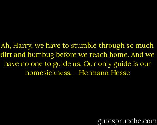 Ah, Harry, we have to stumble through so much dirt and humbug before we reach home. And we have no one to guide us. Our only guide is our homesickness. - Hermann Hesse