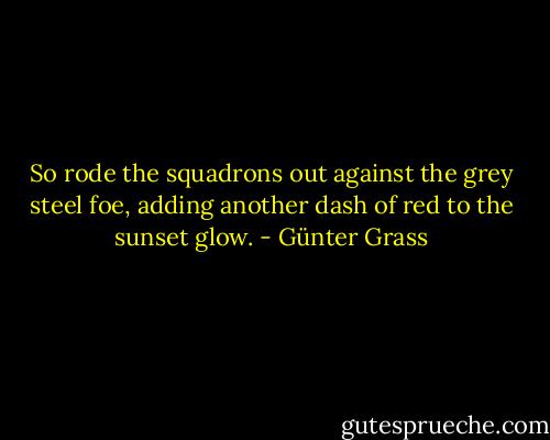 So rode the squadrons out against the grey steel foe, adding another dash of red to the sunset glow. - Günter Grass