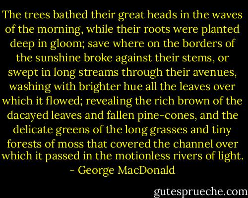 The trees bathed their great heads in the waves of the morning, while their roots were planted deep in gloom; save where on the borders of the sunshine broke against their stems, or swept in long streams through their avenues, washing with brighter hue all the leaves over which it flowed; revealing the rich brown of the dacayed leaves and fallen pine-cones, and the delicate greens of the long grasses and tiny forests of moss that covered the channel over which it passed in the motionless rivers of light. - George MacDonald