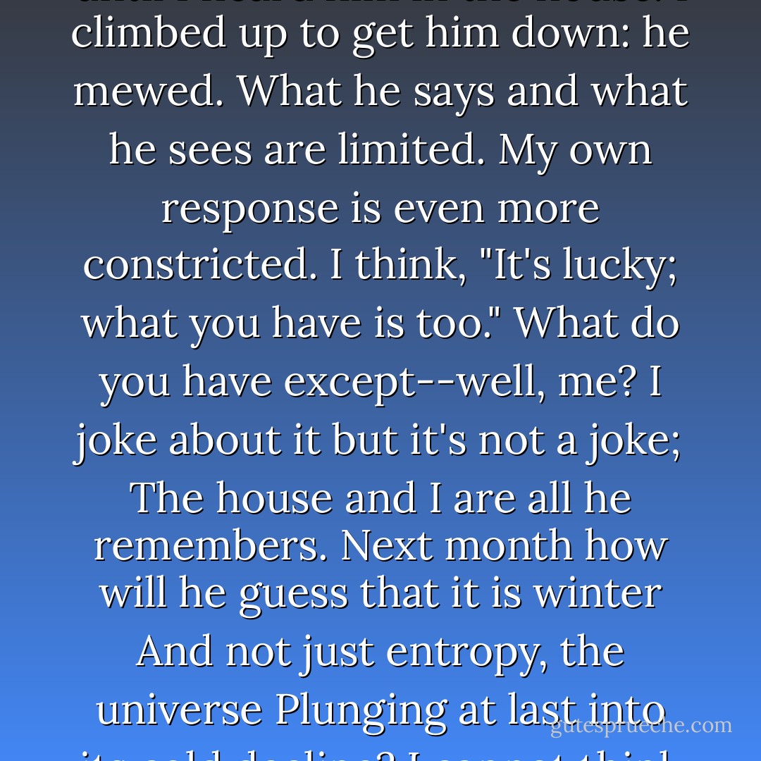 The cat's asleep; I whisper "kitten"<br />Till he stirs a little and begins to purr--<br />He doesn't wake. Today out on the limb<br />(The limb he thinks he can't climb down from)<br />He mewed until I heard him in the house.<br />I climbed up to get him down: he mewed.<br />What he says and what he sees are limited.<br />My own response is even more constricted.<br />I think, "It's lucky; what you have is too."<br />What do you have except--well, me?<br />I joke about it but it's not a joke;<br />The house and I are all he remembers.<br />Next month how will he guess that it is winter<br />And not just entropy, the universe<br />Plunging at last into its cold decline?<br />I cannot think of him without a pang.<br />Poor rumpled thing, why don't you see<br />That you have no more, really, than a man?<br />Men aren't happy; why are you? - Randall Jarrell