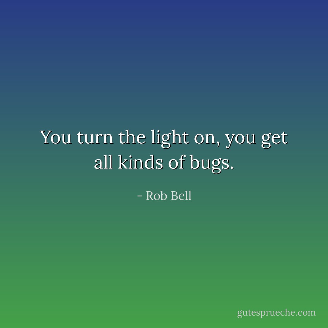 You turn the light on, you get all kinds of bugs. - Rob Bell