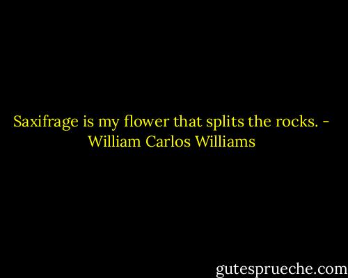 Saxifrage is my flower that splits the rocks. - William Carlos Williams