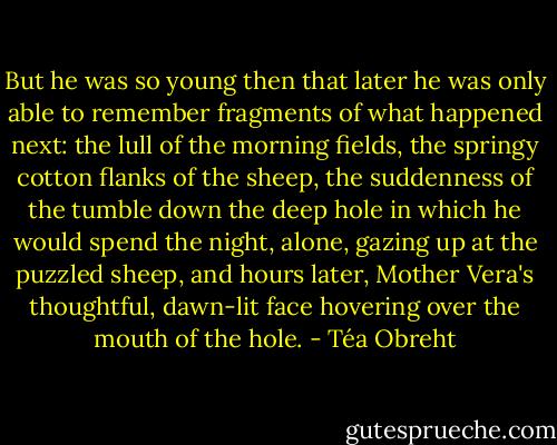 But he was so young then that later he was only able to remember fragments of what happened next: the lull of the morning fields, the springy cotton flanks of the sheep, the suddenness of the tumble down the deep hole in which he would spend the night, alone, gazing up at the puzzled sheep, and hours later, Mother Vera's thoughtful, dawn-lit face hovering over the mouth of the hole. - Téa Obreht