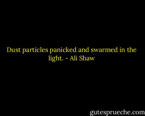 Dust particles panicked and swarmed in the light. - Ali Shaw