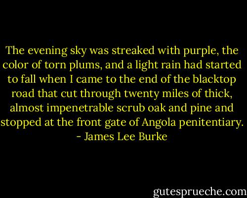 The evening sky was streaked with purple, the color of torn plums, and a light rain had started to fall when I came to the end of the blacktop road that cut through twenty miles of thick, almost impenetrable scrub oak and pine and stopped at the front gate of Angola penitentiary. - James Lee Burke
