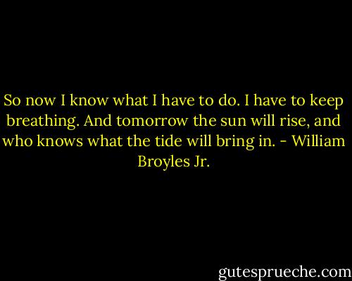 So now I know what I have to do. I have to keep breathing. And tomorrow the sun will rise, and who knows what the tide will bring in. - William Broyles Jr.