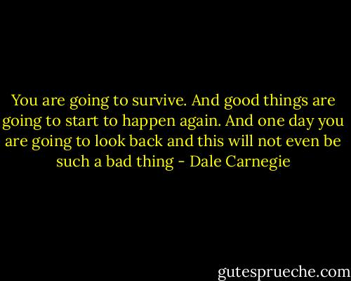 You are going to survive. And good things are going to start to happen again. And one day you are going to look back and this will not even be such a bad thing - Dale Carnegie