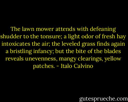 The lawn mower attends with defeaning shudder to the tonsure; a light odor of fresh hay intoxicates the air; the leveled grass finds again a bristling infancy; but the bite of the blades reveals unevenness, mangy clearings, yellow patches. - Italo Calvino