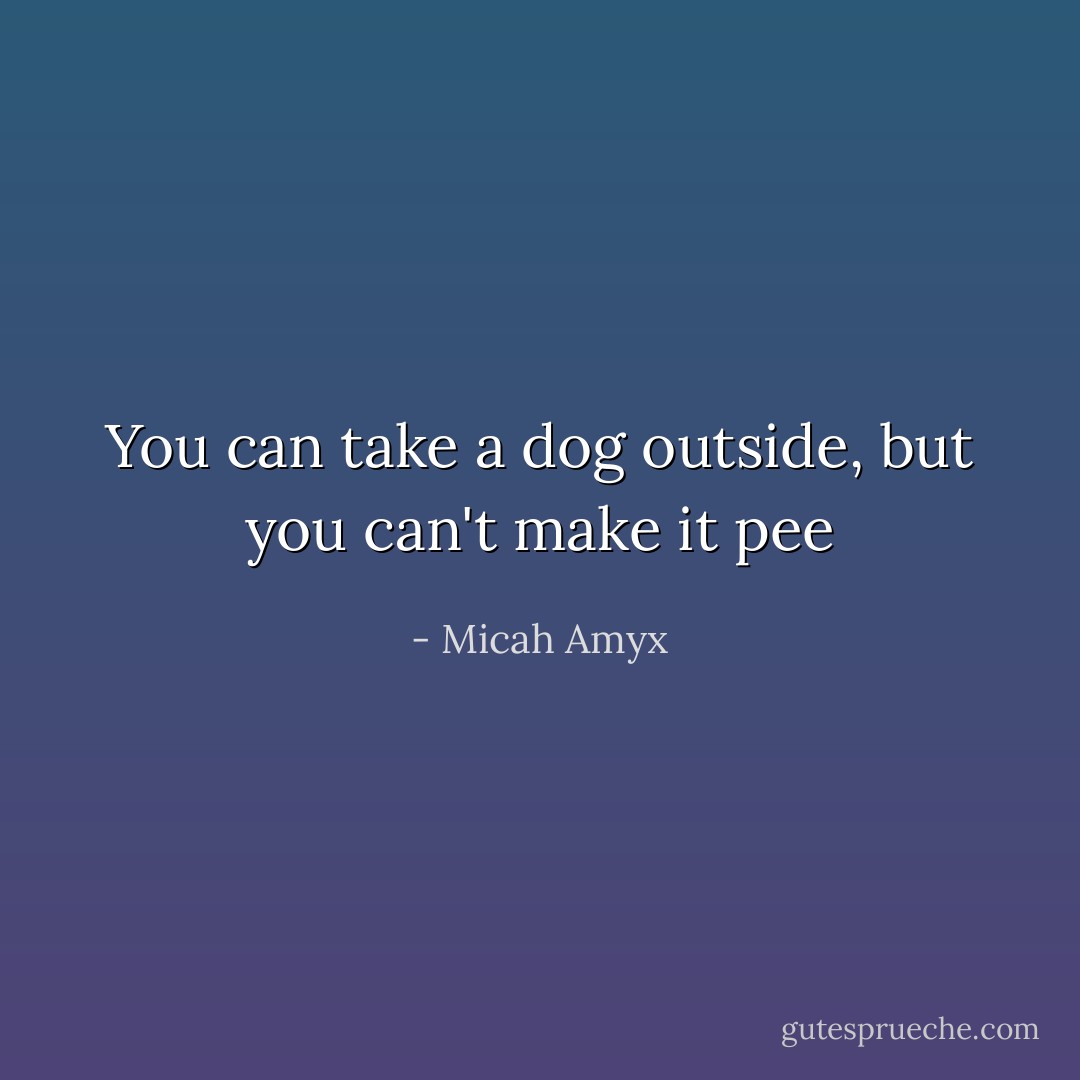 You can take a dog outside, but you can't make it pee - Micah Amyx