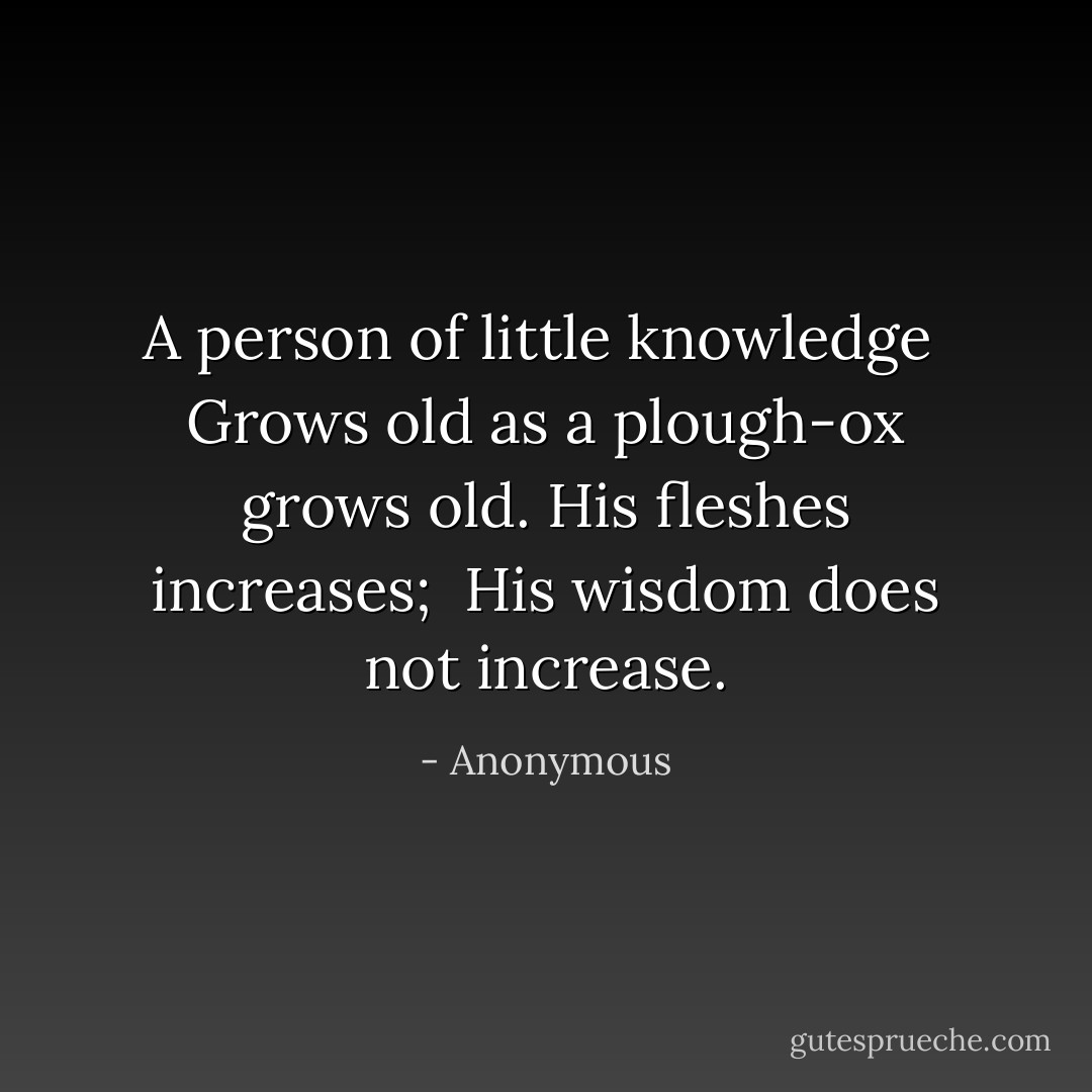 A person of little knowledge<br /> Grows old as a plough-ox grows old.<br />His fleshes increases;<br /> His wisdom does not increase. - Anonymous