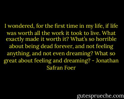 I wondered, for the first time in my life, if life was worth all the work it took to live. What exactly made it worth it? What’s so horrible about being dead forever, and not feeling anything, and not even dreaming? What so great about feeling and dreaming? - Jonathan Safran Foer