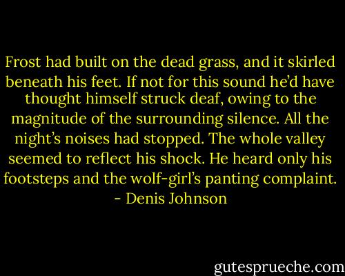 Frost had built on the dead grass, and it skirled beneath his feet. If not for this sound he’d have thought himself struck deaf, owing to the magnitude of the surrounding silence. All the night’s noises had stopped. The whole valley seemed to reflect his shock. He heard only his footsteps and the wolf-girl’s panting complaint. - Denis Johnson