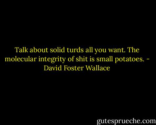 Talk about solid turds all you want. The molecular integrity of shit is small potatoes. - David Foster Wallace