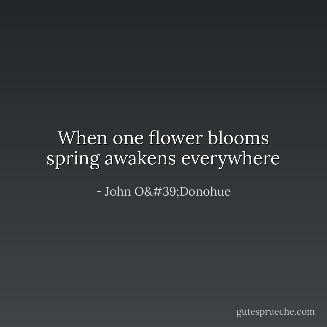 When one flower blooms spring awakens everywhere - John O'Donohue