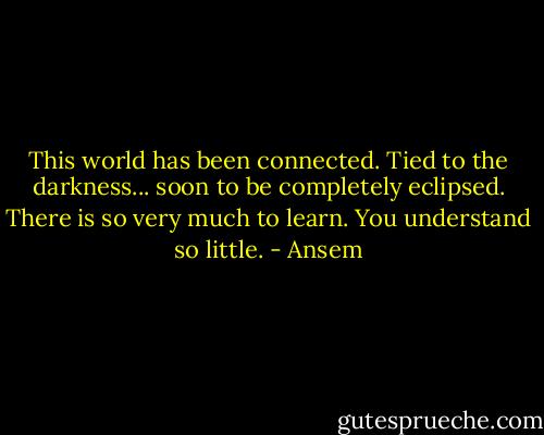 This world has been connected. Tied to the darkness... soon to be completely eclipsed. There is so very much to learn. You understand so little. - Ansem