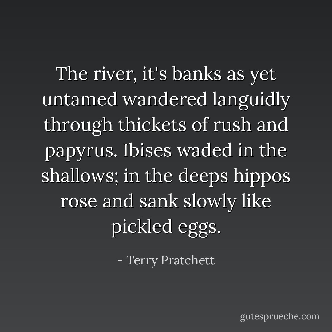 The river, it's banks as yet untamed wandered languidly through thickets of rush and papyrus. Ibises waded in the shallows; in the deeps hippos rose and sank slowly like pickled eggs. - Terry Pratchett