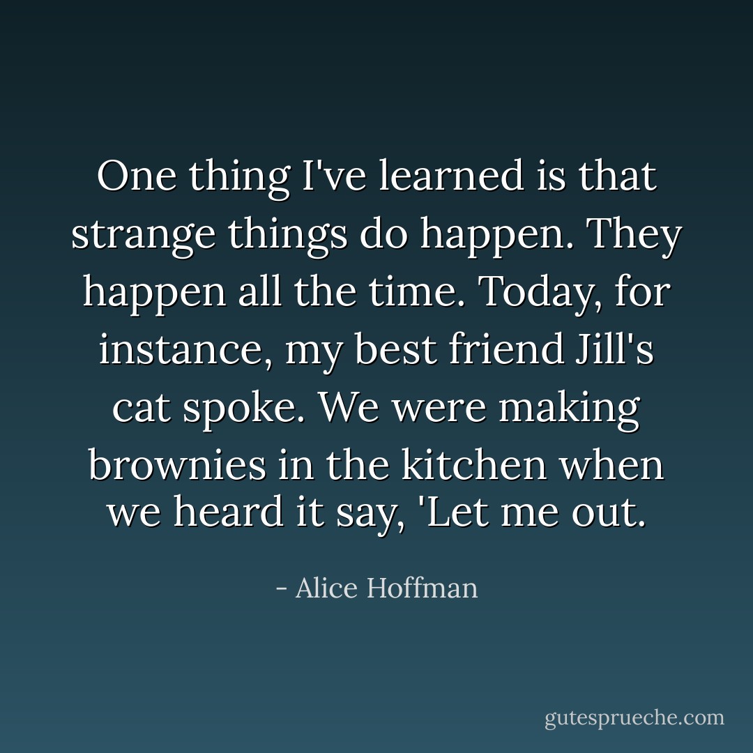 One thing I've learned is that strange things do happen. They happen all the time. Today, for instance, my best friend Jill's cat spoke. We were making brownies in the kitchen when we heard it say, 'Let me out. - Alice Hoffman
