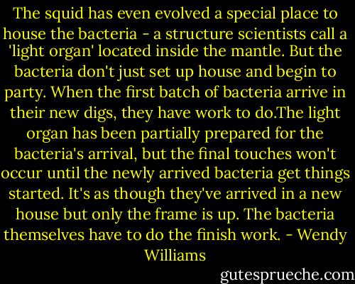 The squid has even evolved a special place to house the bacteria - a structure scientists call a 'light organ' located inside the mantle. But the bacteria don't just set up house and begin to party. When the first batch of bacteria arrive in their new digs, they have work to do.The light organ has been partially prepared for the bacteria's arrival, but the final touches won't occur until the newly arrived bacteria get things started. It's as though they've arrived in a new house but only the frame is up. The bacteria themselves have to do the finish work. - Wendy Williams