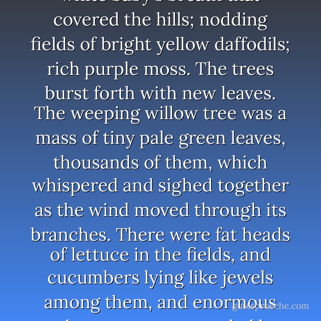 All at once the hard, cold earth seemed to explode. The brown surface of the world dissolved and in its place was an impossible, an inconceivable, an unbelievable profusion of color: green grass and purple and red flowers; sprays of lily; white baby's breath that covered the hills; nodding fields of bright yellow daffodils; rich purple moss. The trees burst forth with new leaves. The weeping willow tree was a mass of tiny pale green leaves, thousands of them, which whispered and sighed together as the wind moved through its branches. There were fat heads of lettuce in the fields, and cucumbers lying like jewels among them, and enormous red tomatoes surrounded by thick, knotted vines.<br /><br />And for the first time in 1,728 days, the clouds broke apart and there was dazzling blue sky, and light beyond what anyone could remember.<br /><br />The sun had come out at last. - Lauren Oliver