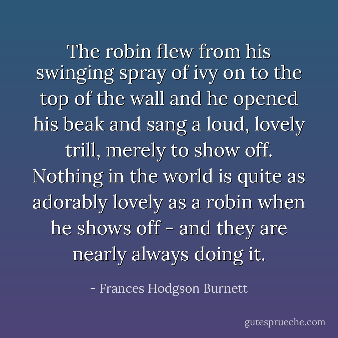 The robin flew from his swinging spray of ivy on to the top of the wall and he opened his beak and sang a loud, lovely trill, merely to show off. Nothing in the world is quite as adorably lovely as a robin when he shows off - and they are nearly always doing it. - Frances Hodgson Burnett