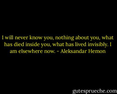 I will never know you, nothing about you, what has died inside you, what has lived invisibly. I am elsewhere now. - Aleksandar Hemon