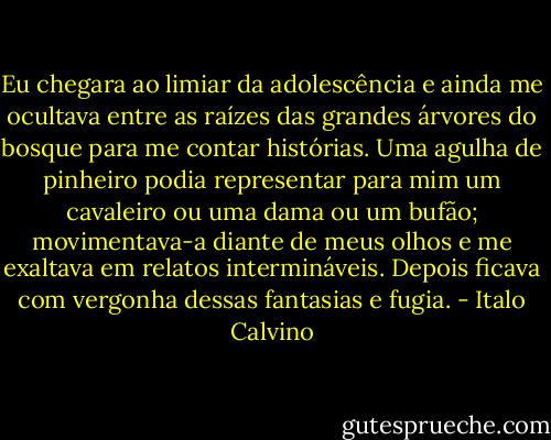 Eu chegara ao limiar da adolescência e ainda me ocultava entre as raízes das grandes árvores do bosque para me contar histórias. Uma agulha de pinheiro podia representar para mim um cavaleiro ou uma dama ou um bufão; movimentava-a diante de meus olhos e me exaltava em relatos intermináveis. Depois ficava com vergonha dessas fantasias e fugia. - Italo Calvino