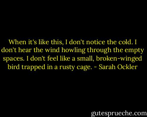When it's like this, I don't notice the cold. I don't hear the wind howling through the empty spaces. I don't feel like a small, broken-winged bird trapped in a rusty cage. - Sarah Ockler