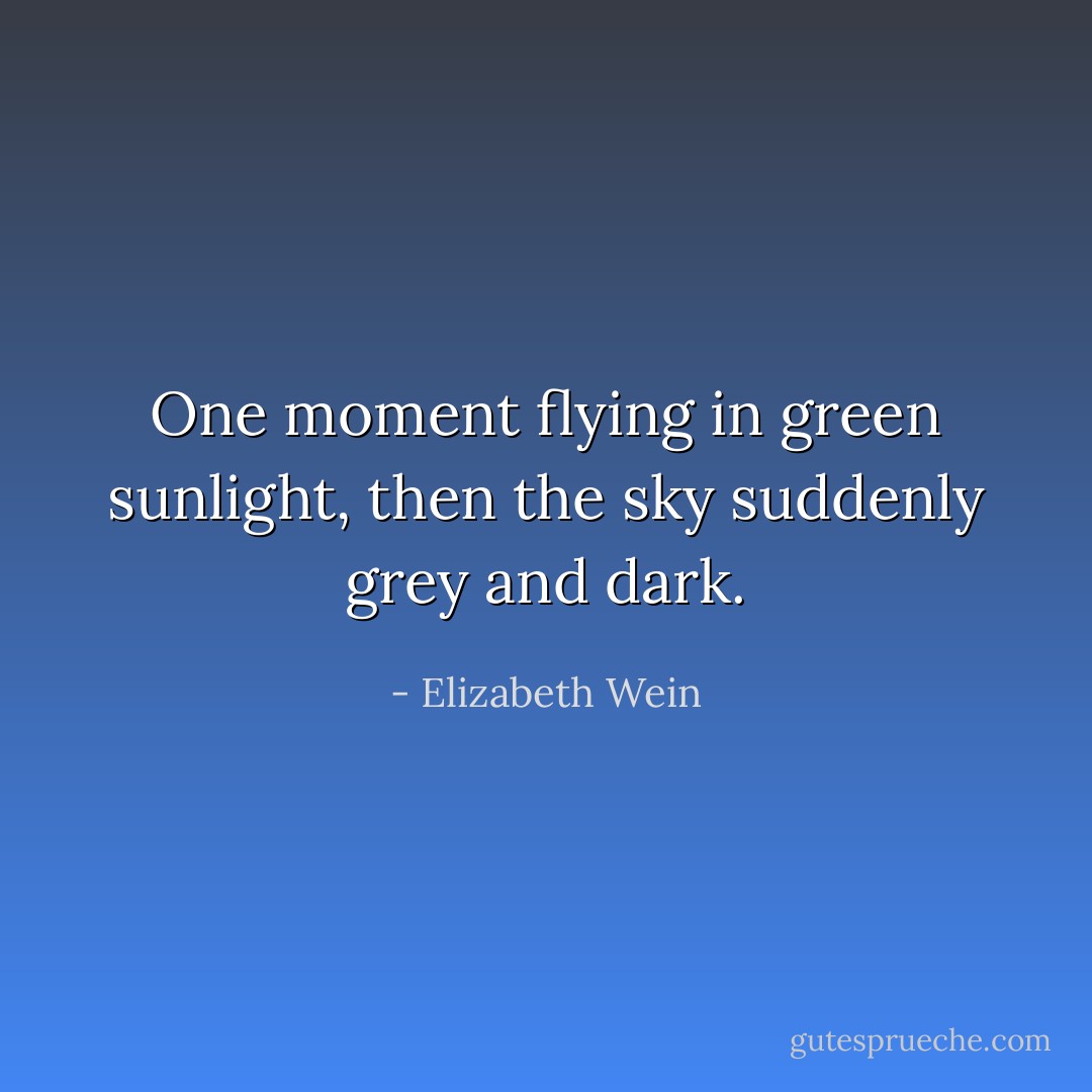 One moment flying in green sunlight, then the sky suddenly grey and dark. - Elizabeth Wein