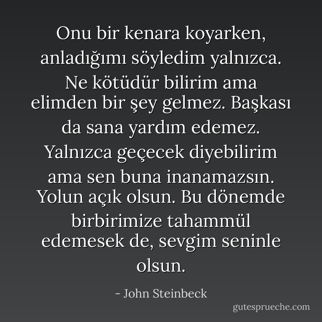 Onu bir kenara koyarken, anladığımı söyledim yalnızca. Ne kötüdür bilirim ama elimden bir şey gelmez. Başkası da sana yardım edemez. Yalnızca geçecek diyebilirim ama sen buna inanamazsın. Yolun açık olsun. Bu dönemde birbirimize tahammül edemesek de, sevgim seninle olsun. - John Steinbeck