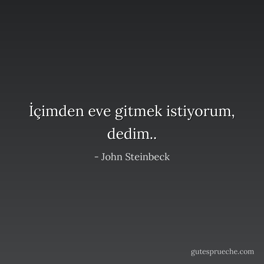 İçimden eve gitmek istiyorum, dedim.. - John Steinbeck