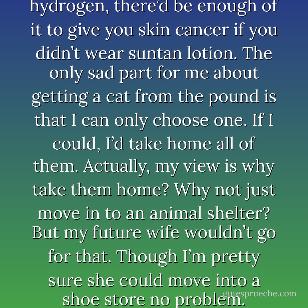 If my love for cats were hydrogen, there’d be enough of it to give you skin cancer if you didn’t wear suntan lotion. The only sad part for me about getting a cat from the pound is that I can only choose one. If I could, I’d take home all of them. Actually, my view is why take them home? Why not just move in to an animal shelter? But my future wife wouldn’t go for that. Though I’m pretty sure she could move into a shoe store no problem. - Jarod Kintz