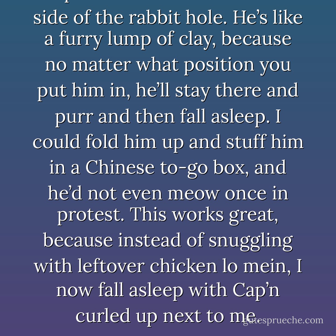 Cap’n is the cuddliest cat this side of the rabbit hole. He’s like a furry lump of clay, because no matter what position you put him in, he’ll stay there and purr and then fall asleep. I could fold him up and stuff him in a Chinese to-go box, and he’d not even meow once in protest. This works great, because instead of snuggling with leftover chicken lo mein, I now fall asleep with Cap’n curled up next to me. - Jarod Kintz
