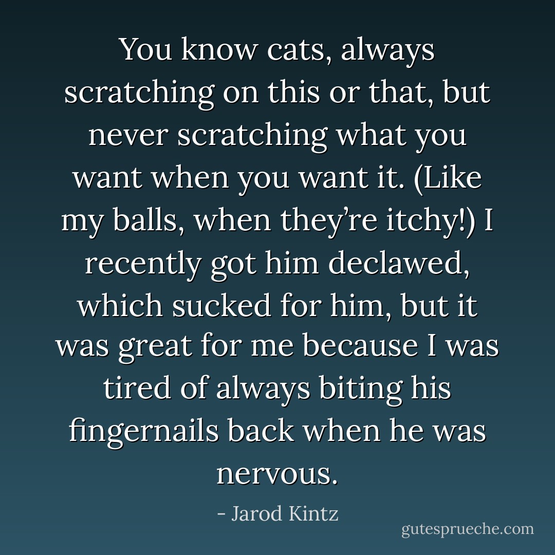 You know cats, always scratching on this or that, but never scratching what you want when you want it. (Like my balls, when they’re itchy!) I recently got him declawed, which sucked for him, but it was great for me because I was tired of always biting his fingernails back when he was nervous. - Jarod Kintz