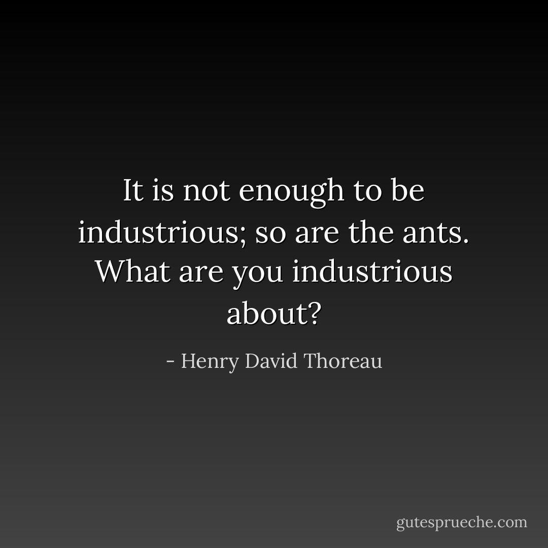 It is not enough to be industrious; so are the ants. What are you industrious about? - Henry David Thoreau