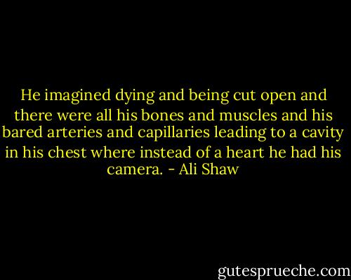 He imagined dying and being cut open and there were all his bones and muscles and his bared arteries and capillaries leading to a cavity in his chest where instead of a heart he had his camera. - Ali Shaw