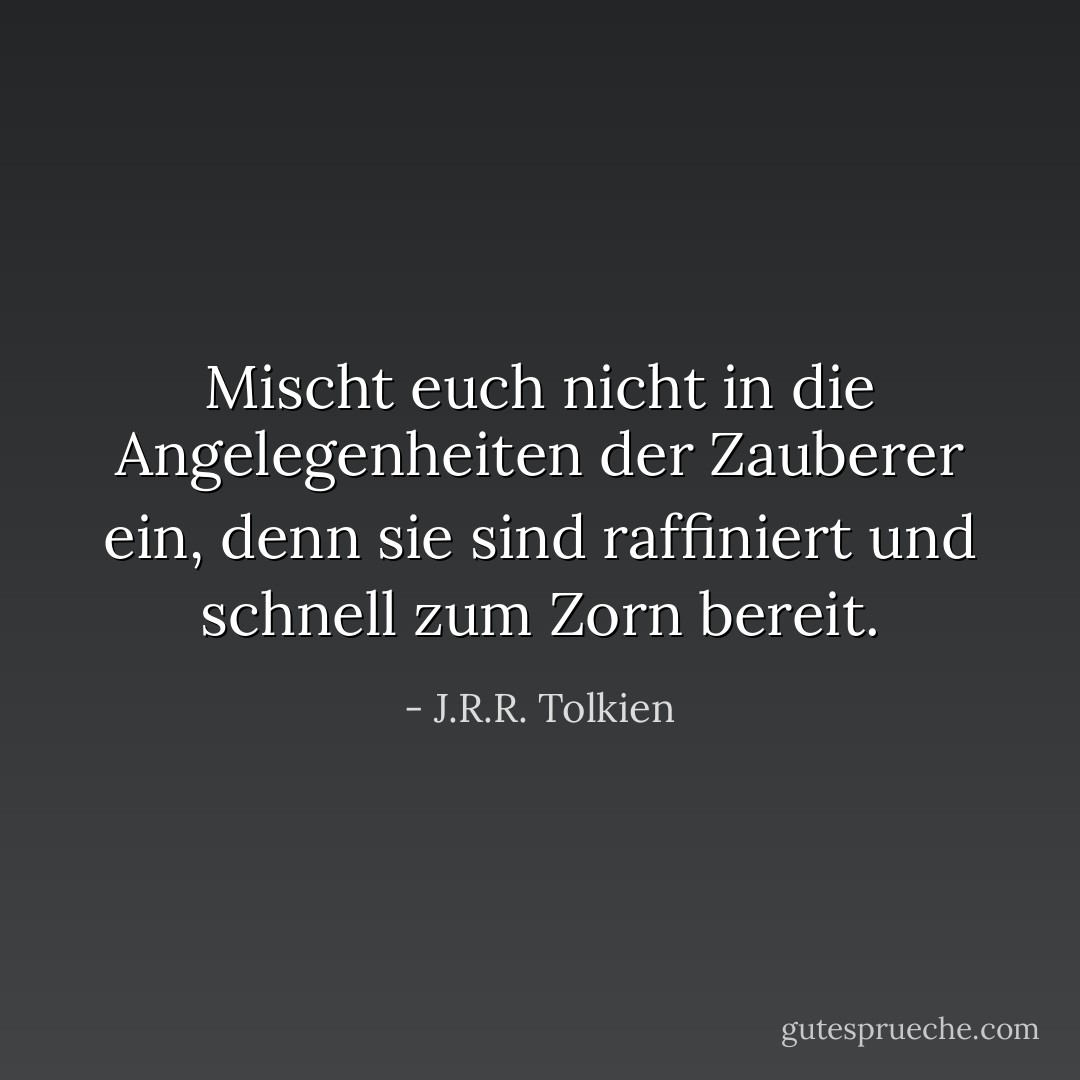 Mischt euch nicht in die Angelegenheiten der Zauberer ein, denn sie sind raffiniert und schnell zum Zorn bereit. - J.R.R. Tolkien<