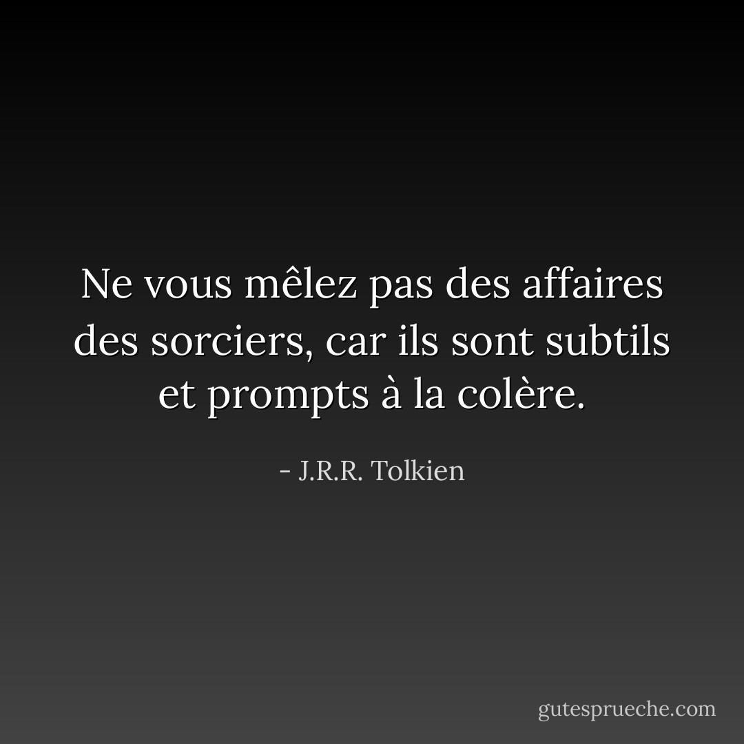 Ne vous mêlez pas des affaires des sorciers, car ils sont subtils et prompts à la colère. - J.R.R. Tolkien