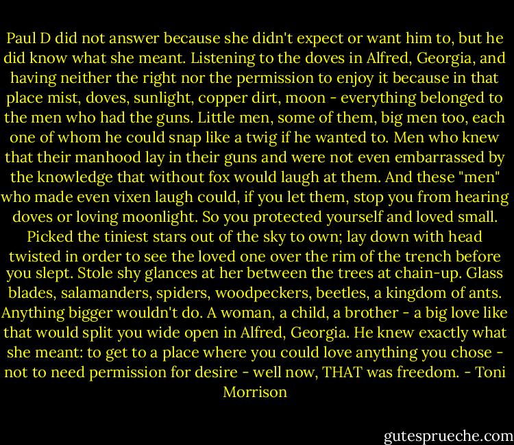 Paul D did not answer because she didn't expect or want him to, but he did know what she meant. Listening to the doves in Alfred, Georgia, and having neither the right nor the permission to enjoy it because in that place mist, doves, sunlight, copper dirt, moon - everything belonged to the men who had the guns. Little men, some of them, big men too, each one of whom he could snap like a twig if he wanted to. Men who knew that their manhood lay in their guns and were not even embarrassed by the knowledge that without fox would laugh at them. And these "men" who made even vixen laugh could, if you let them, stop you from hearing doves or loving moonlight. So you protected yourself and loved small. Picked the tiniest stars out of the sky to own; lay down with head twisted in order to see the loved one over the rim of the trench before you slept. Stole shy glances at her between the trees at chain-up. Glass blades, salamanders, spiders, woodpeckers, beetles, a kingdom of ants. Anything bigger wouldn't do. A woman, a child, a brother - a big love like that would split you wide open in Alfred, Georgia. He knew exactly what she meant: to get to a place where you could love anything you chose - not to need permission for desire - well now, THAT was freedom. - Toni Morrison