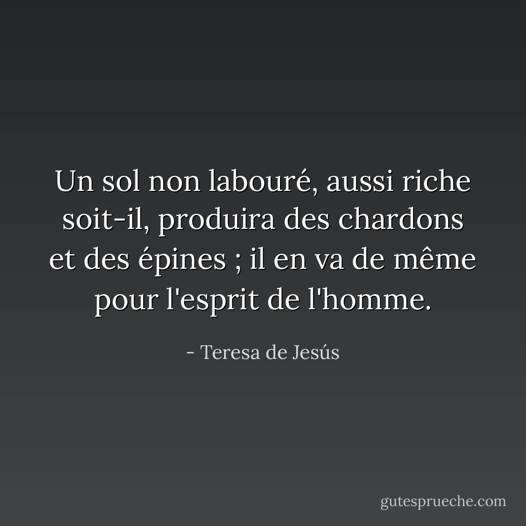Un sol non labouré, aussi riche soit-il, produira des chardons et des épines ; il en va de même pour l'esprit de l'homme. - Teresa de Jesús