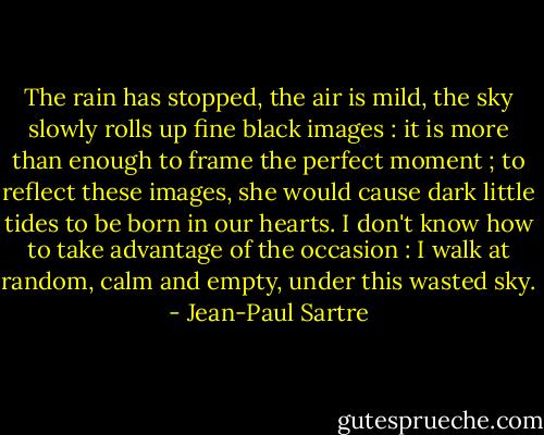 The rain has stopped, the air is mild, the sky slowly rolls up fine black images : it is more than enough to frame the perfect moment ; to reflect these images, she would cause dark little tides to be born in our hearts. I don't know how to take advantage of the occasion : I walk at random, calm and empty, under this wasted sky. - Jean-Paul Sartre