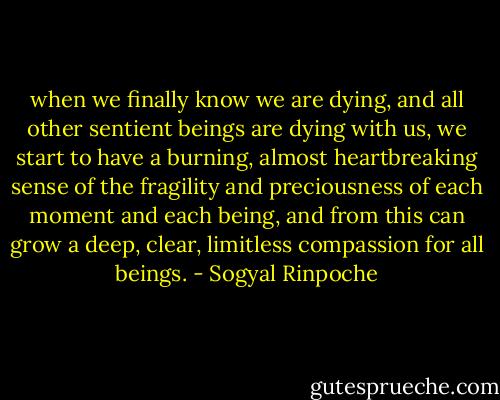 when we finally know we are dying, and all other sentient beings are dying with us, we start to have a burning, almost heartbreaking sense of the fragility and preciousness of each moment and each being, and from this can grow a deep, clear, limitless compassion for all beings. - Sogyal Rinpoche