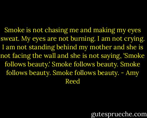 Smoke is not chasing me and making my eyes sweat. My eyes are not burning. I am not crying. I am not standing behind my mother and she is not facing the wall and she is not saying, 'Smoke follows beauty.' Smoke follows beauty. Smoke follows beauty. Smoke follows beauty. - Amy Reed