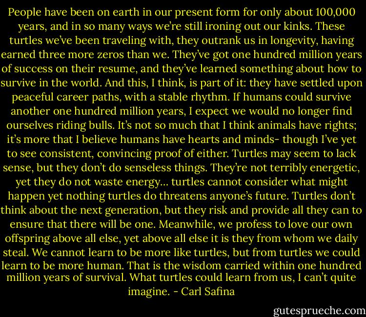 People have been on earth in our present form for only about 100,000 years, and in so many ways we’re still ironing out our kinks. These turtles we’ve been traveling with, they outrank us in longevity, having earned three more zeros than we. They’ve got one hundred million years of success on their resume, and they’ve learned something about how to survive in the world. And this, I think, is part of it: they have settled upon peaceful career paths, with a stable rhythm. If humans could survive another one hundred million years, I expect we would no longer find ourselves riding bulls. It’s not so much that I think animals have rights; it’s more that I believe humans have hearts and minds- though I’ve yet to see consistent, convincing proof of either. Turtles may seem to lack sense, but they don’t do senseless things. They’re not terribly energetic, yet they do not waste energy… turtles cannot consider what might happen yet nothing turtles do threatens anyone’s future. Turtles don’t think about the next generation, but they risk and provide all they can to ensure that there will be one. Meanwhile, we profess to love our own offspring above all else, yet above all else it is they from whom we daily steal. We cannot learn to be more like turtles, but from turtles we could learn to be more human. That is the wisdom carried within one hundred million years of survival. What turtles could learn from us, I can’t quite imagine. - Carl Safina