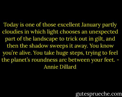 Today is one of those excellent January partly cloudies in which light chooses an unexpected part of the landscape to trick out in gilt, and then the shadow sweeps it away. You know you’re alive. You take huge steps, trying to feel the planet’s roundness arc between your feet. - Annie Dillard