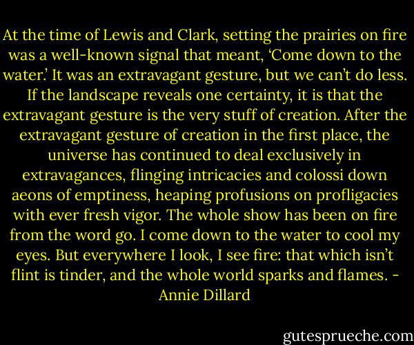 At the time of Lewis and Clark, setting the prairies on fire was a well-known signal that meant, ‘Come down to the water.’ It was an extravagant gesture, but we can’t do less. If the landscape reveals one certainty, it is that the extravagant gesture is the very stuff of creation. After the extravagant gesture of creation in the first place, the universe has continued to deal exclusively in extravagances, flinging intricacies and colossi down aeons of emptiness, heaping profusions on profligacies with ever fresh vigor. The whole show has been on fire from the word go. I come down to the water to cool my eyes. But everywhere I look, I see fire: that which isn’t flint is tinder, and the whole world sparks and flames. - Annie Dillard