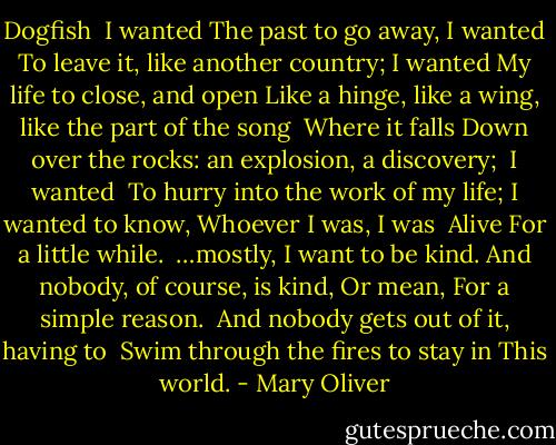 Dogfish<br /><br />I wanted<br />The past to go away, I wanted<br />To leave it, like another country; I wanted<br />My life to close, and open<br />Like a hinge, like a wing, like the part of the song<br /> Where it falls<br />Down over the rocks: an explosion, a discovery;<br /> I wanted <br />To hurry into the work of my life; I wanted to know,<br />Whoever I was, I was<br /><br />Alive<br />For a little while.<br /><br />…mostly, I want to be kind.<br />And nobody, of course, is kind,<br />Or mean,<br />For a simple reason.<br /><br />And nobody gets out of it, having to <br />Swim through the fires to stay in<br />This world. - Mary Oliver